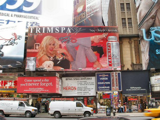 NYC Times Square-Anna Nicole Smith